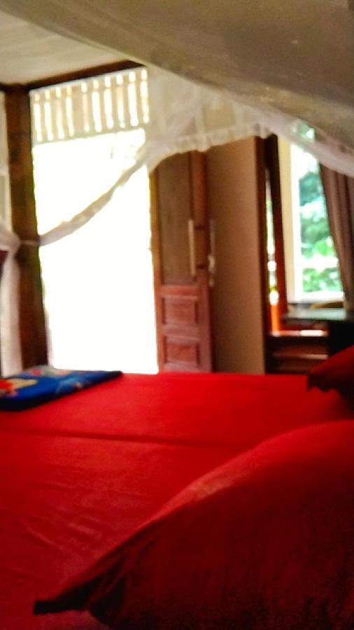 Raja Guest House - Jungle Trekking & Tours Bukit Lawang Sumatra Extérieur photo